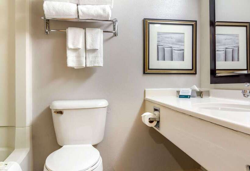 酒店 Budget Inn Denver Downtown