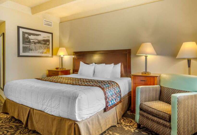 酒店 Budget Inn Denver Downtown