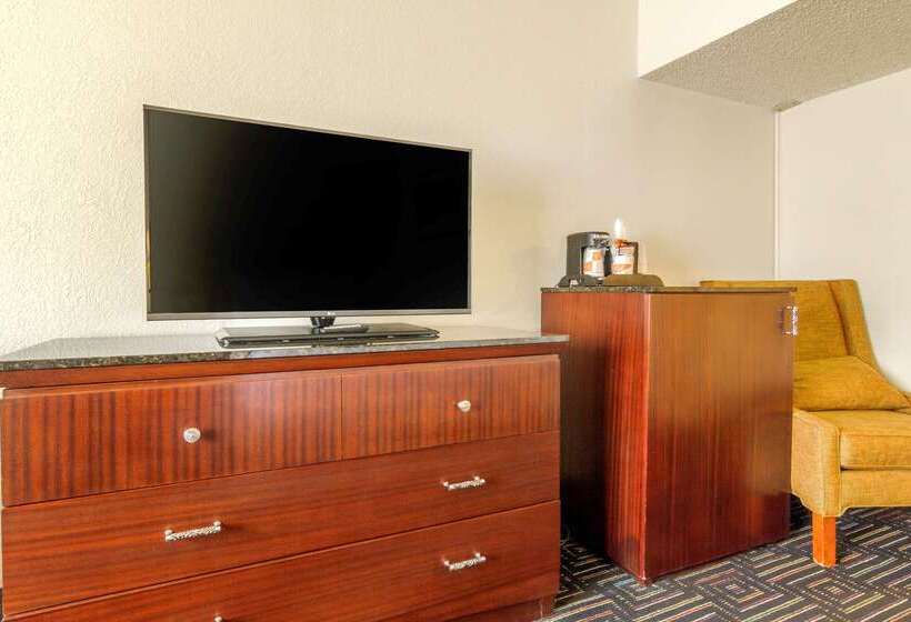 酒店 Budget Inn Denver Downtown