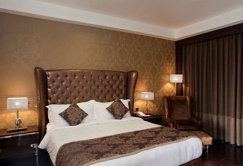 Radisson Blu Hotel New Delhi Paschim Vihar