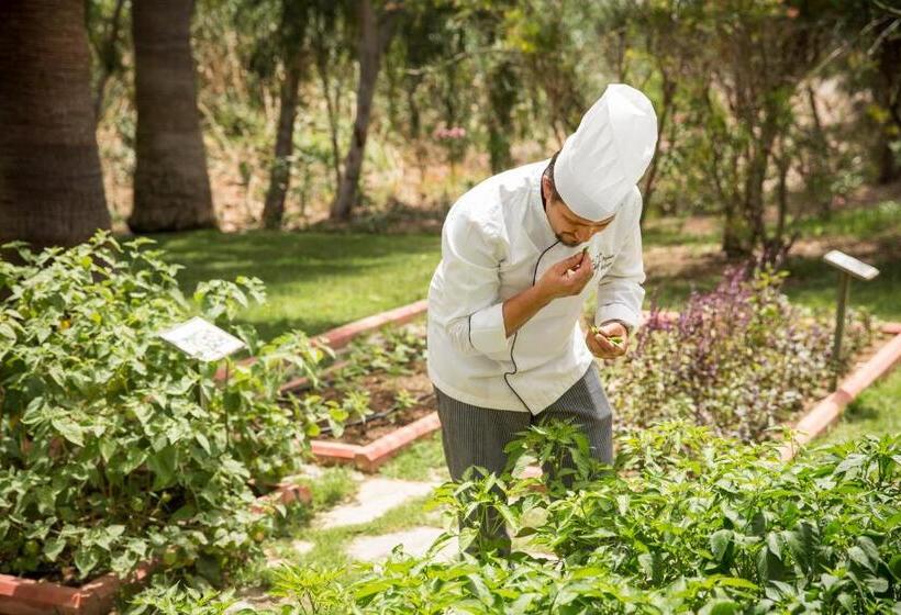 هتل Robinson Sarigerme Park   All Inclusive