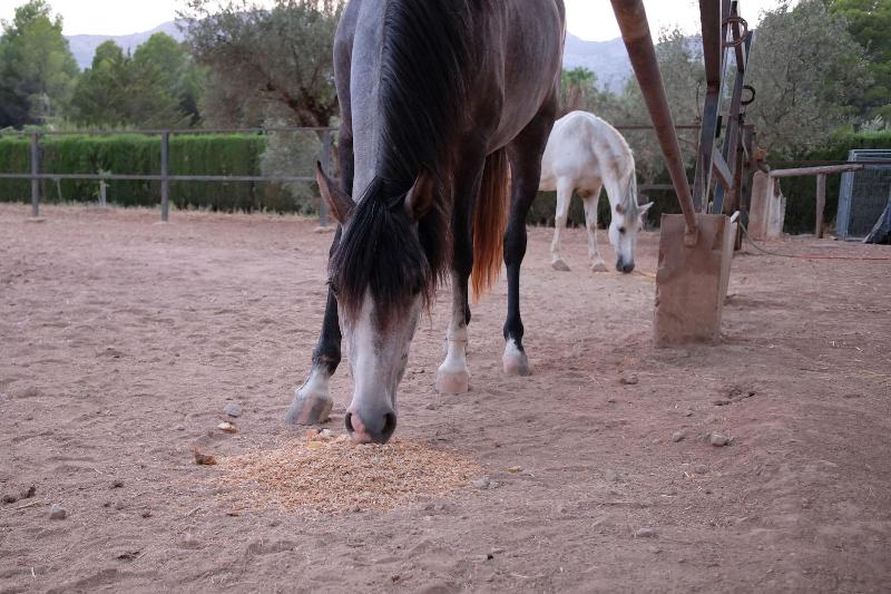 בית מלון כפרי Casa Rural Aire