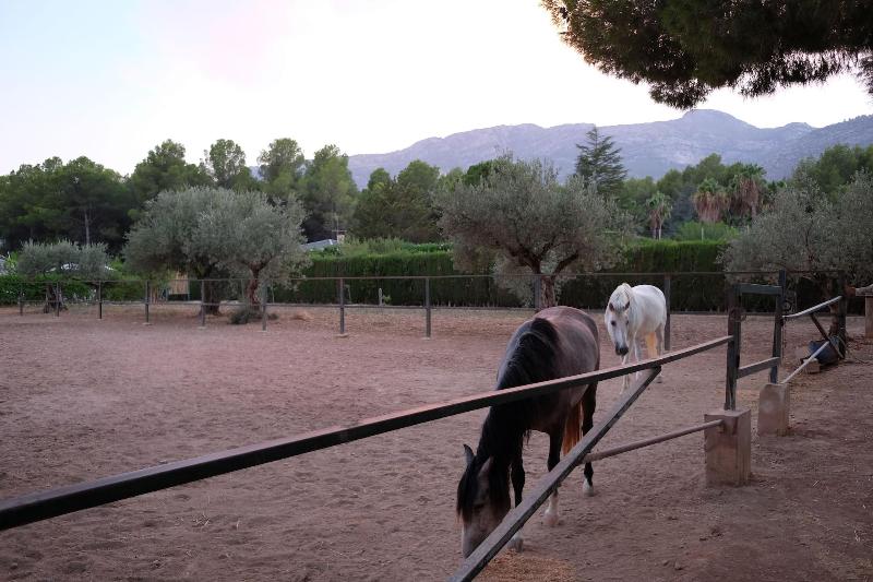 בית מלון כפרי Casa Rural Aire