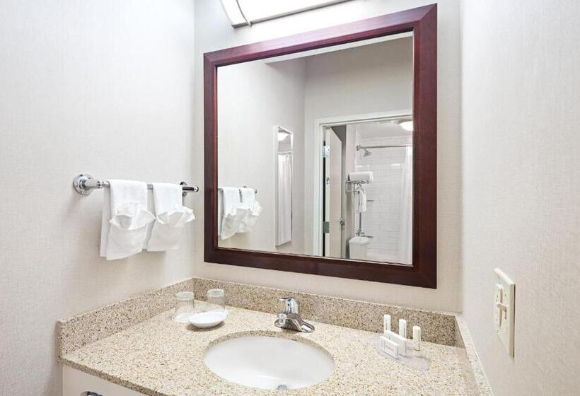 酒店 Springhill Suites By Marriott Denver Airport