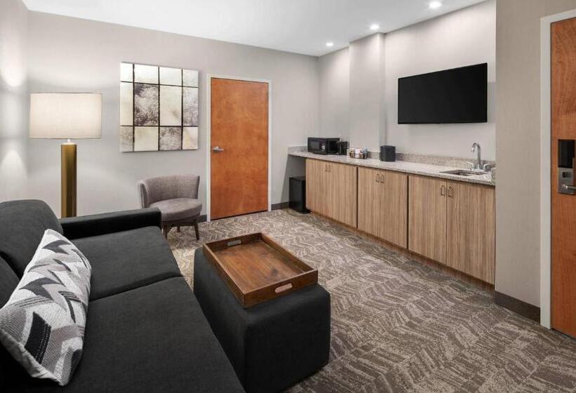 酒店 Springhill Suites By Marriott Denver Airport