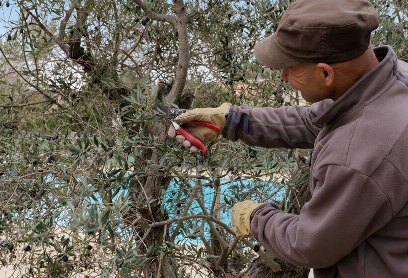בית מלון כפרי Val Baussenc, The Originals Relais