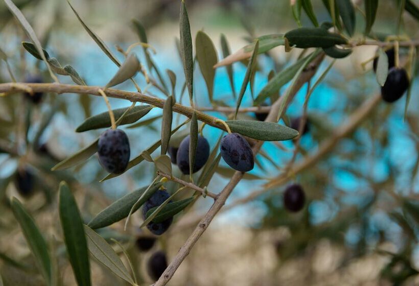 בית מלון כפרי Val Baussenc, The Originals Relais