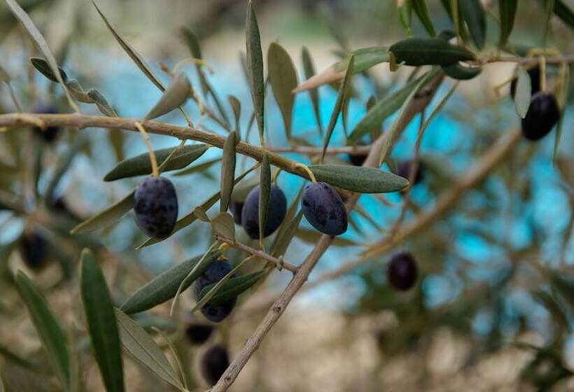 בית מלון כפרי Val Baussenc, The Originals Relais
