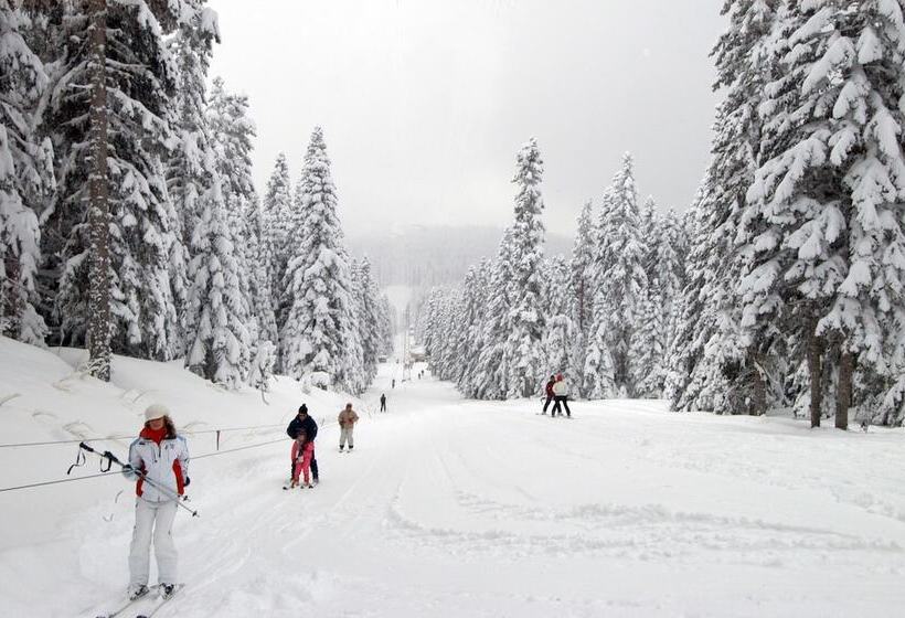 Jura Hotels Ilgaz Mountain Resort