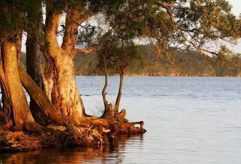 אתר נופש Nrma Myall Shores Holiday Park