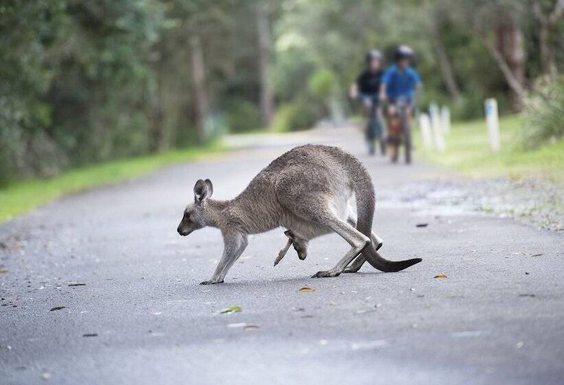 אתר נופש Nrma Myall Shores Holiday Park