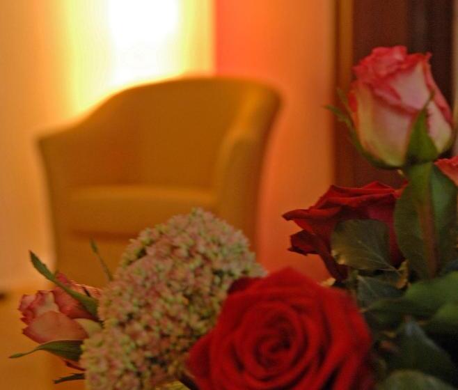 Appartement Hotel An Der Riemergasse