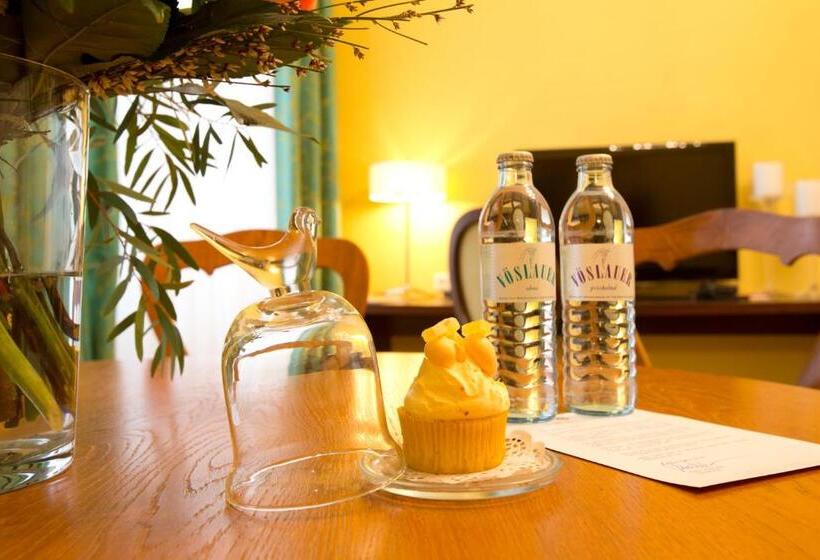 Appartement Hotel An Der Riemergasse