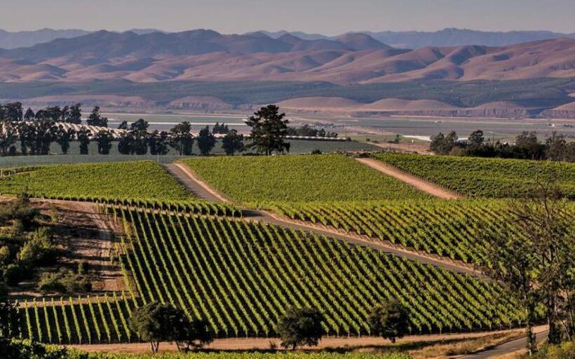 Candlewood Suites Santa Maria, An Ihg