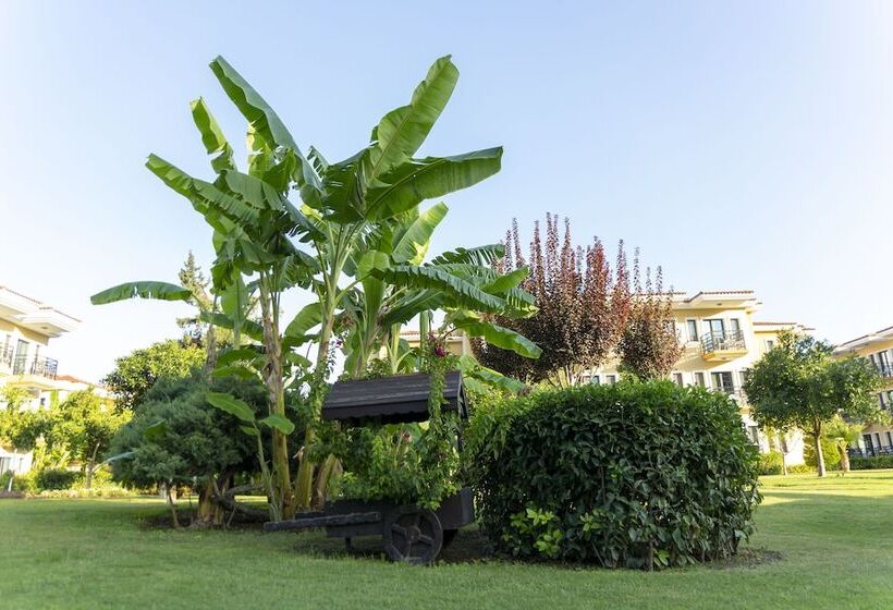 Club Hotel Phaselis Rose   All Inclusive