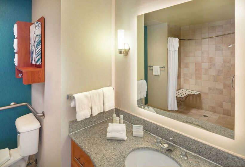 Homewood Suites By Hilton Virginia Beach/norfolk Airport