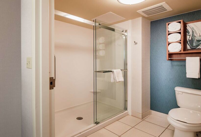 Homewood Suites By Hilton Virginia Beach/norfolk Airport