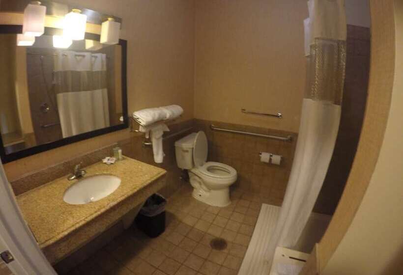 فندق Airway Inn   Iah Airport