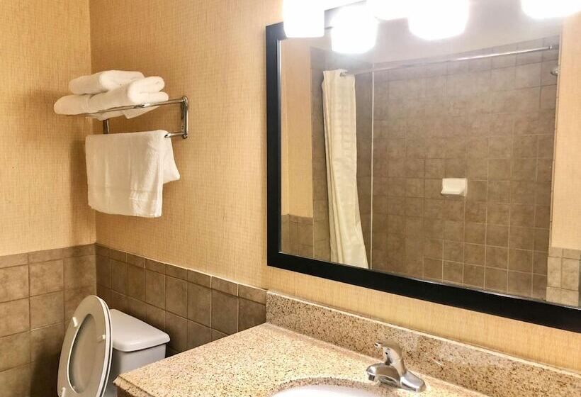 فندق Airway Inn   Iah Airport