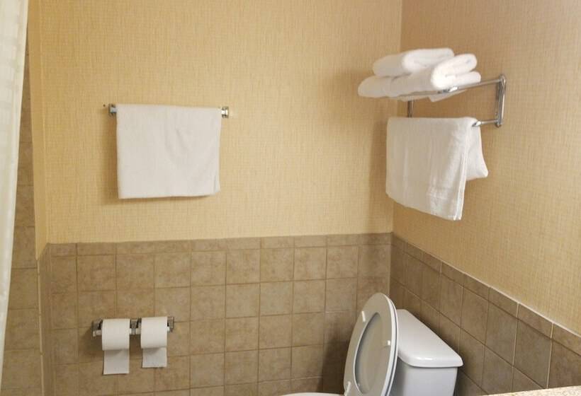 فندق Airway Inn   Iah Airport