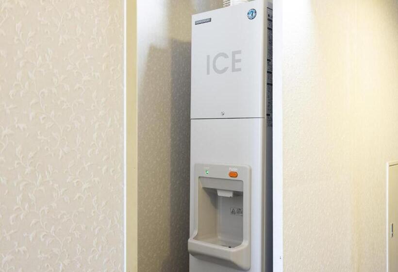 Ark Hotel Royal Fukuoka Tenjin Route Inn Hotels