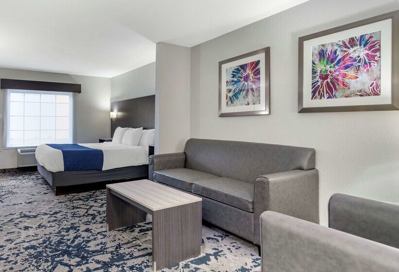 فندق Best Western Allatoona Inn & Suites