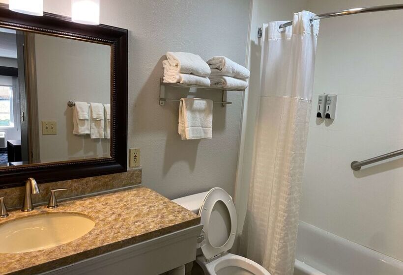 فندق Best Western Allatoona Inn & Suites