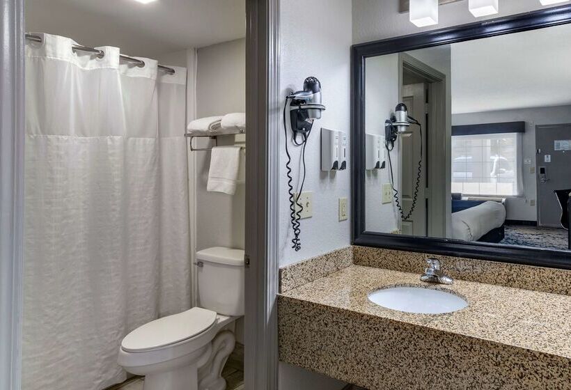 فندق Best Western Allatoona Inn & Suites