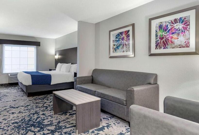 فندق Best Western Allatoona Inn & Suites