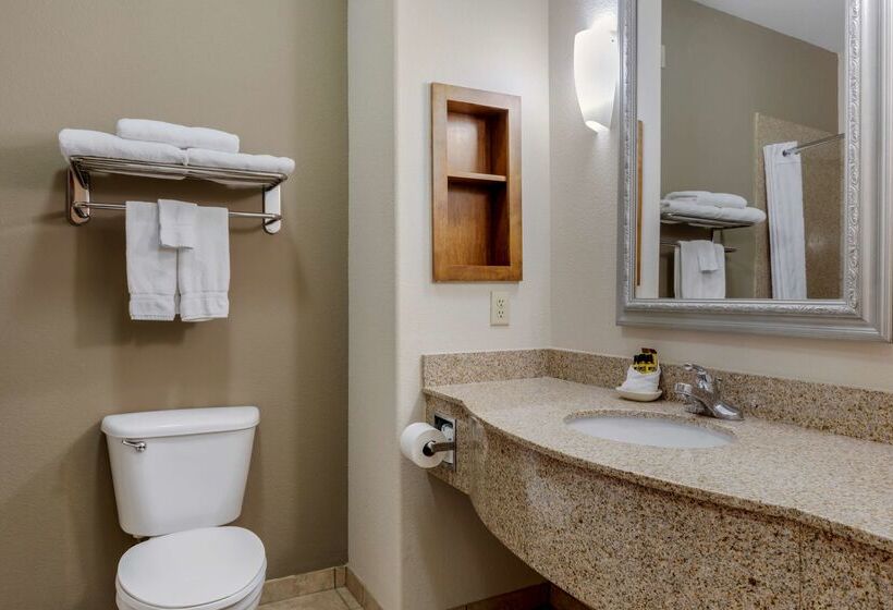 호텔 Best Western Plus Sweetwater Inn & Suites