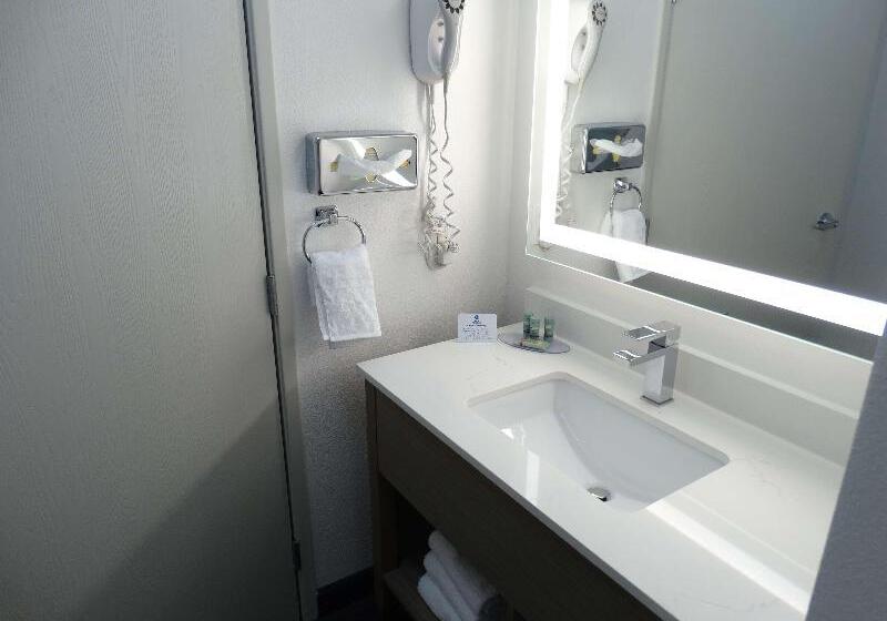 호텔 Best Western Plus Sweetwater Inn & Suites