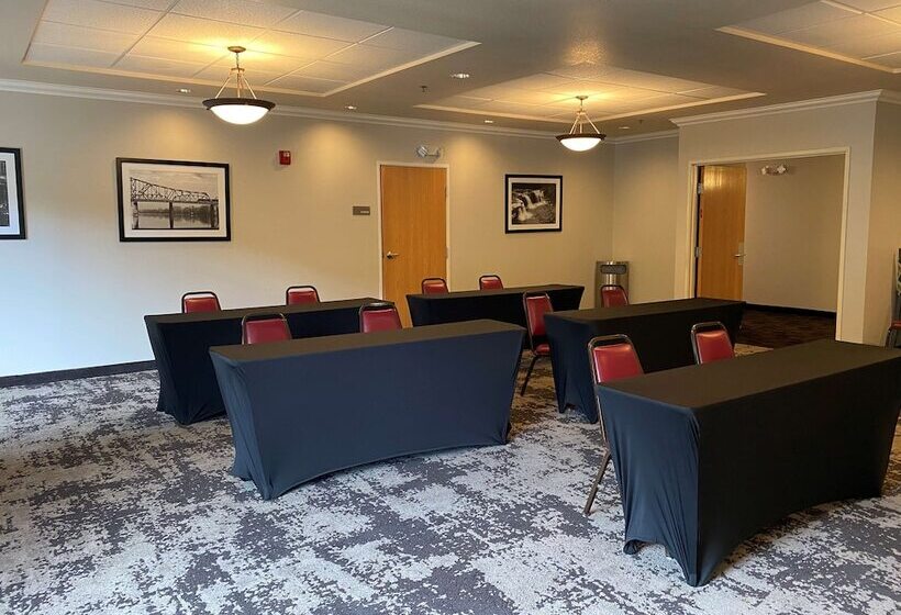 酒店 Best Western Windsor Inn And Suites