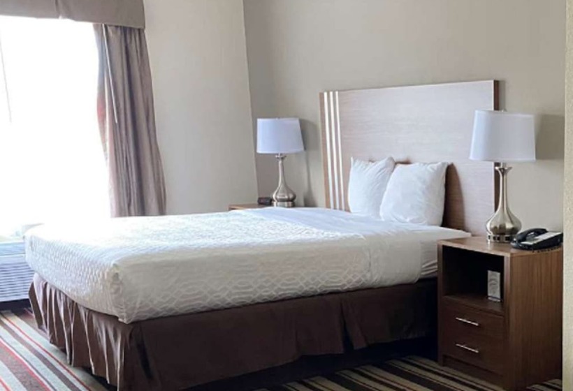 酒店 Best Western Windsor Inn And Suites