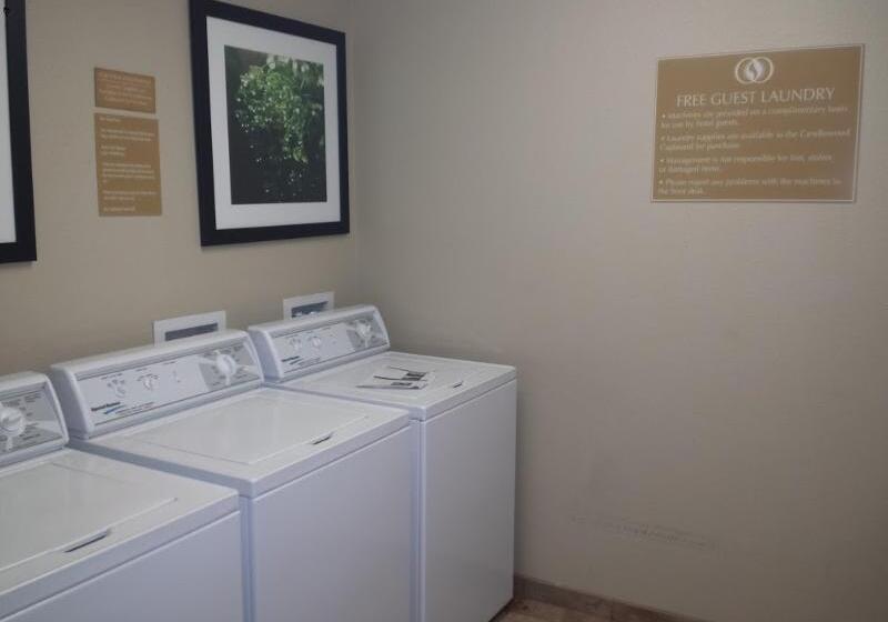 فندق Candlewood Suites Greenville Nc, An Ihg