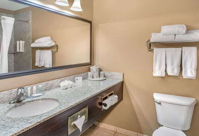 ホテル Clarion Pointe Medford