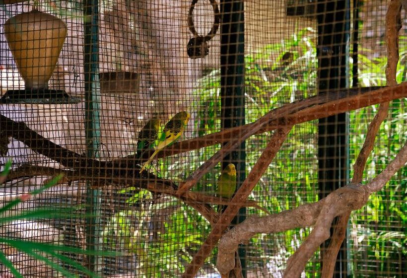 酒店 Club Aquarium