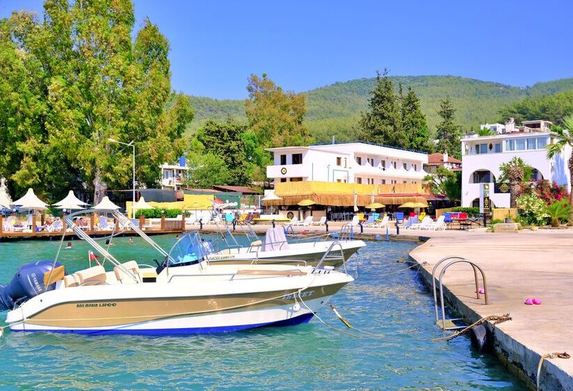 酒店 Club Aquarium