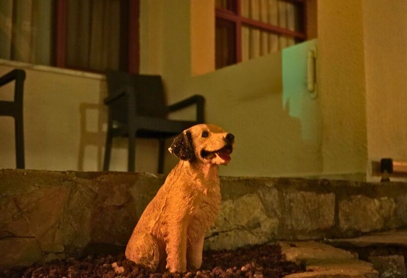 酒店 Club Aquarium