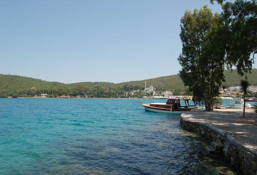 酒店 Club Aquarium