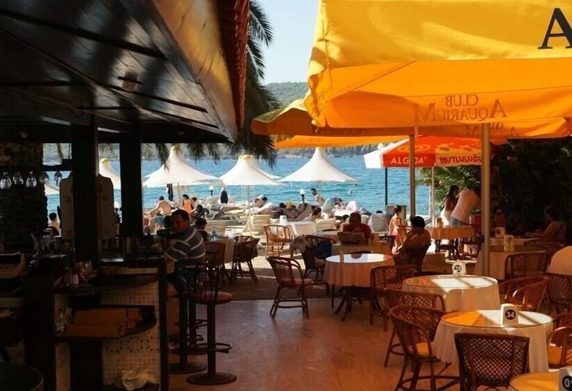 酒店 Club Aquarium