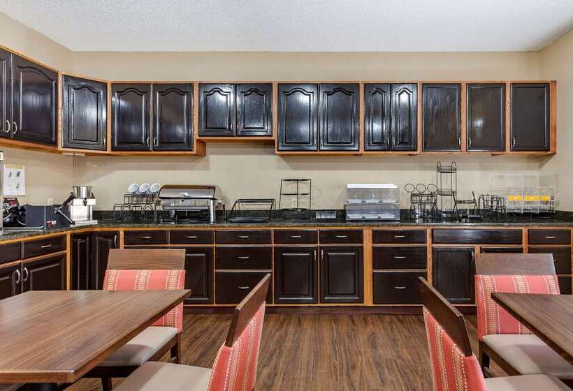 ホテル Comfort Inn Downtown  University Area