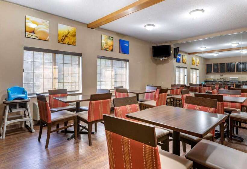 ホテル Comfort Inn Downtown  University Area