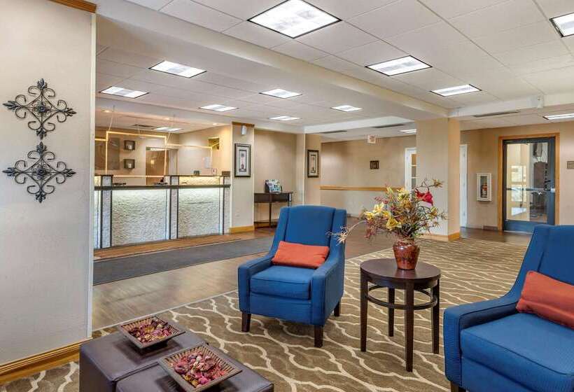 ホテル Comfort Inn Downtown  University Area