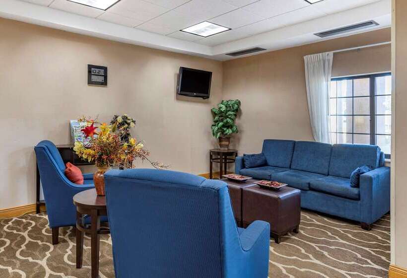 هتل Comfort Inn Downtown  University Area