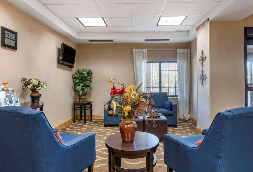 ホテル Comfort Inn Downtown  University Area