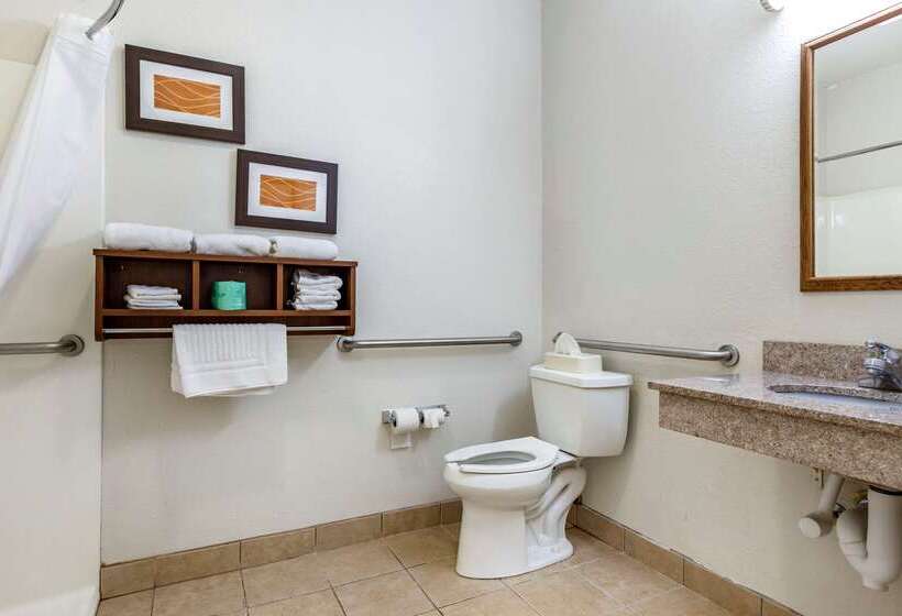 ホテル Comfort Inn Downtown  University Area