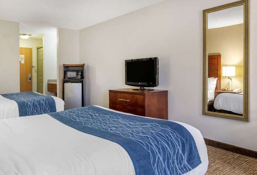 ホテル Comfort Inn Downtown  University Area