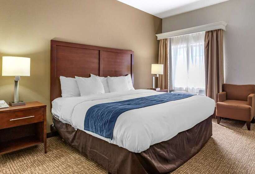 ホテル Comfort Inn Downtown  University Area