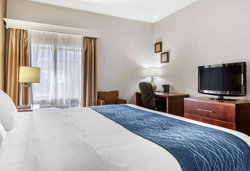 هتل Comfort Inn Downtown  University Area
