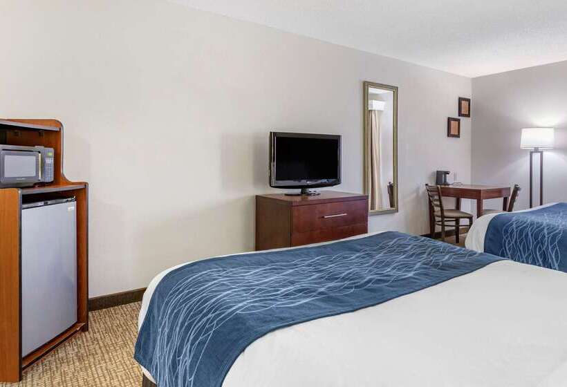 ホテル Comfort Inn Downtown  University Area